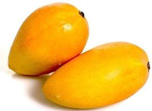 Chausa Mango