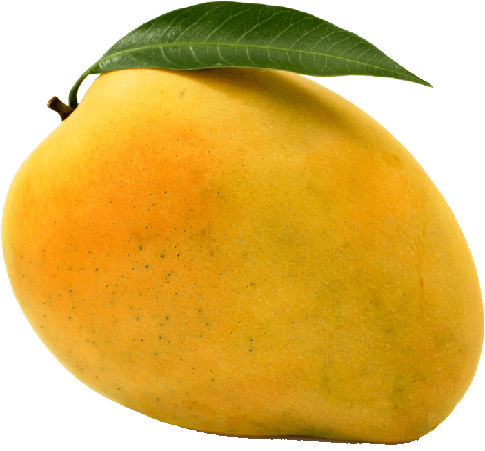 types of mango