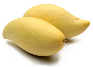 totapuri-mango