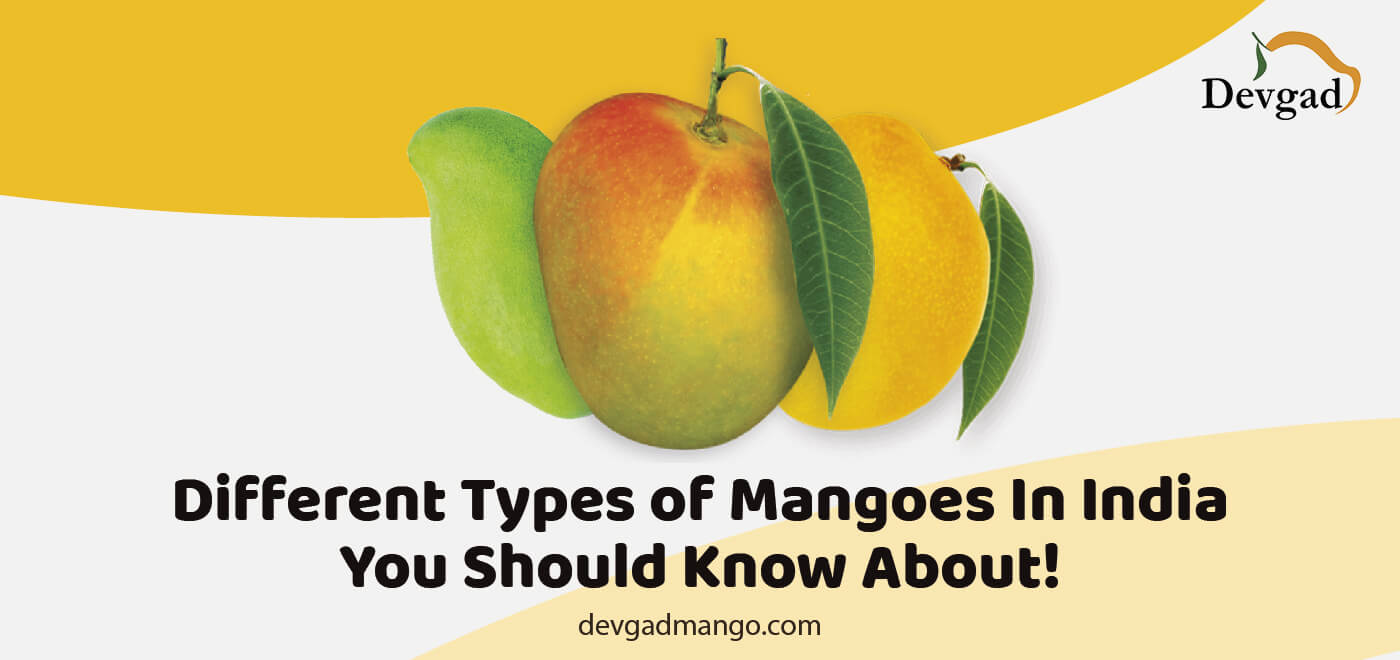 types of mango